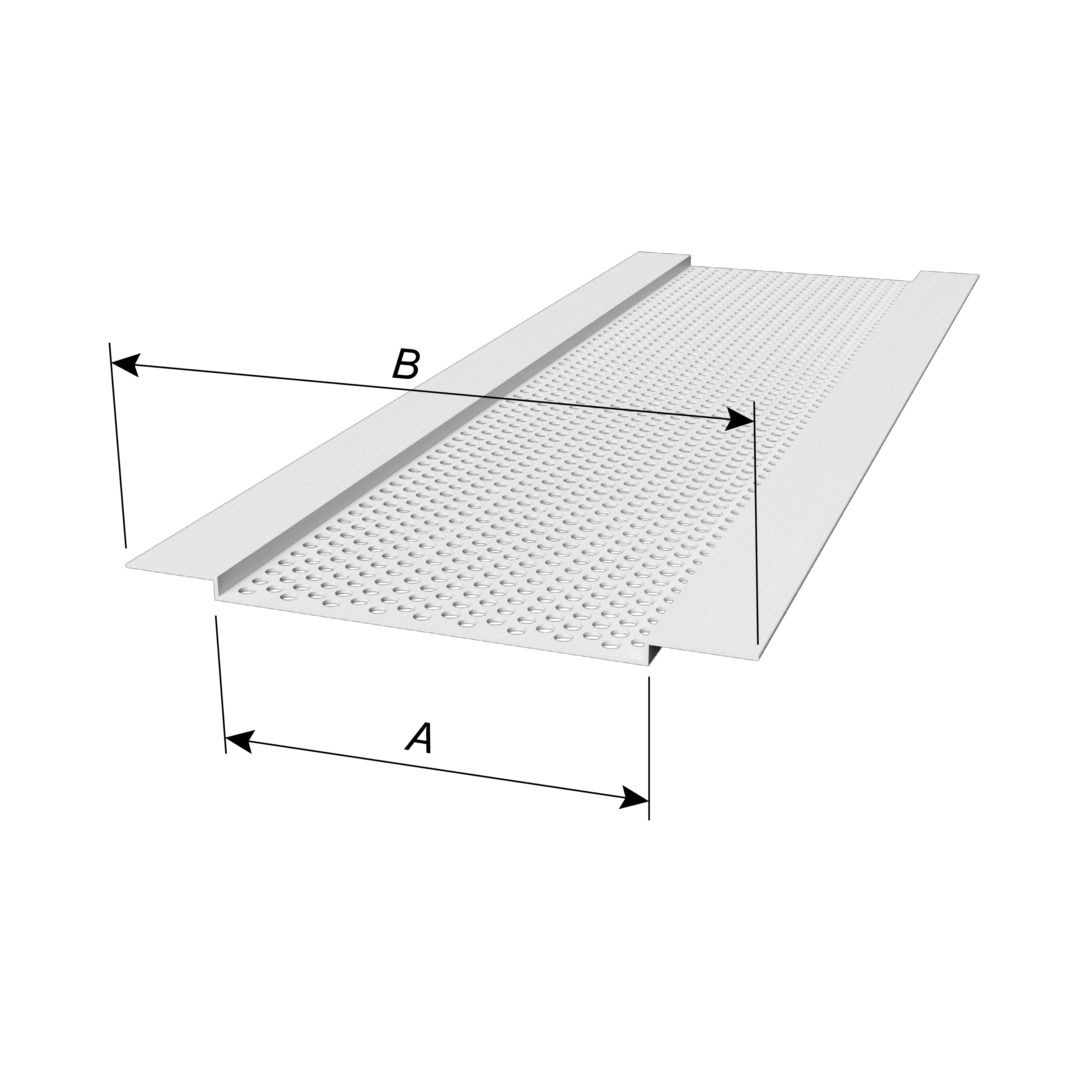 V300 - dims